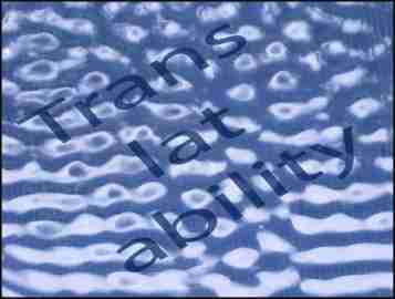 Words, Brush-strokes and Dancing Shoes