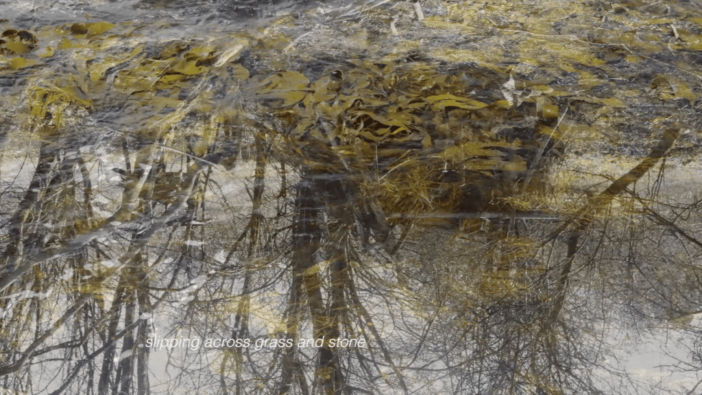 Intersemiotic Journeys between Practice and Theory