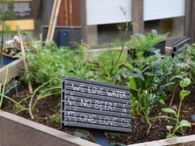 Exploring multiple nightlife